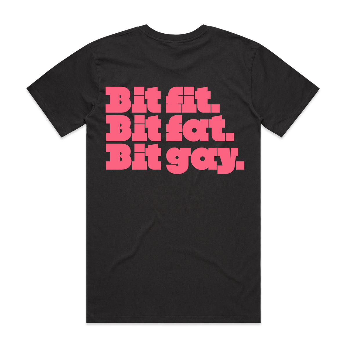PREORDER: Bit Fit, Bit Fat, Bit Gay (11 Custom Colours)