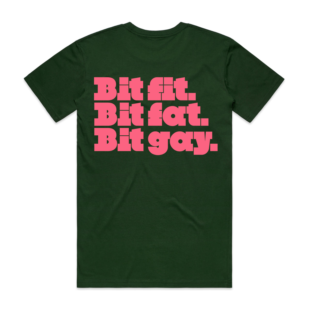 PREORDER: Bit Fit, Bit Fat, Bit Gay (11 Custom Colours)
