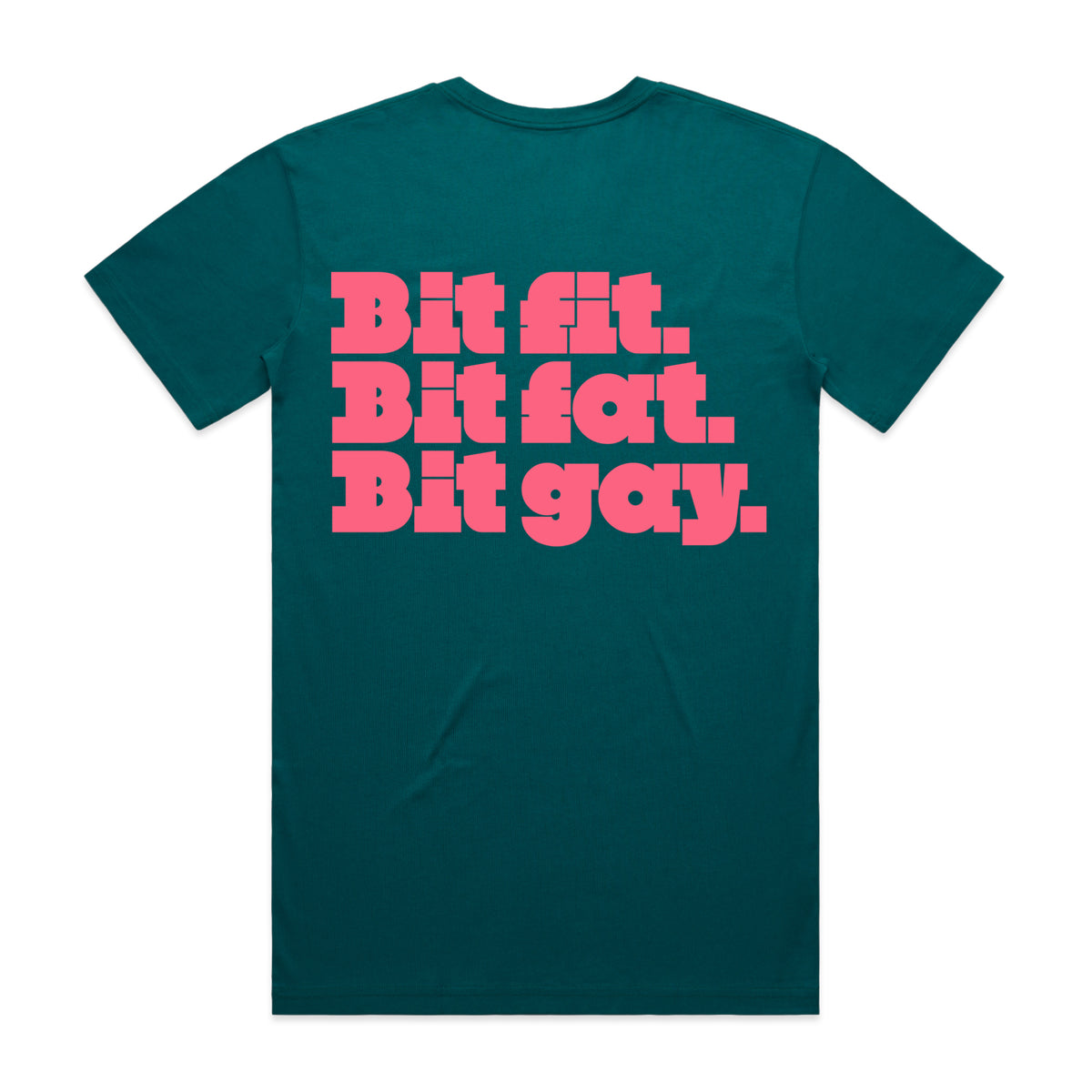 PREORDER: Bit Fit, Bit Fat, Bit Gay (11 Custom Colours)
