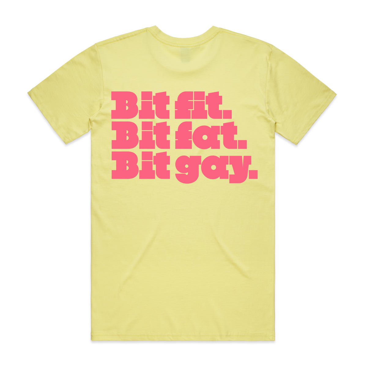 PREORDER: Bit Fit, Bit Fat, Bit Gay (11 Custom Colours)