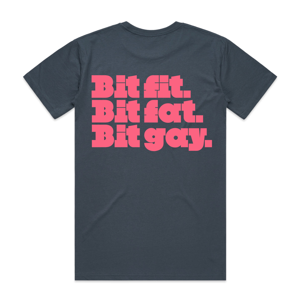 PREORDER: Bit Fit, Bit Fat, Bit Gay (11 Custom Colours)