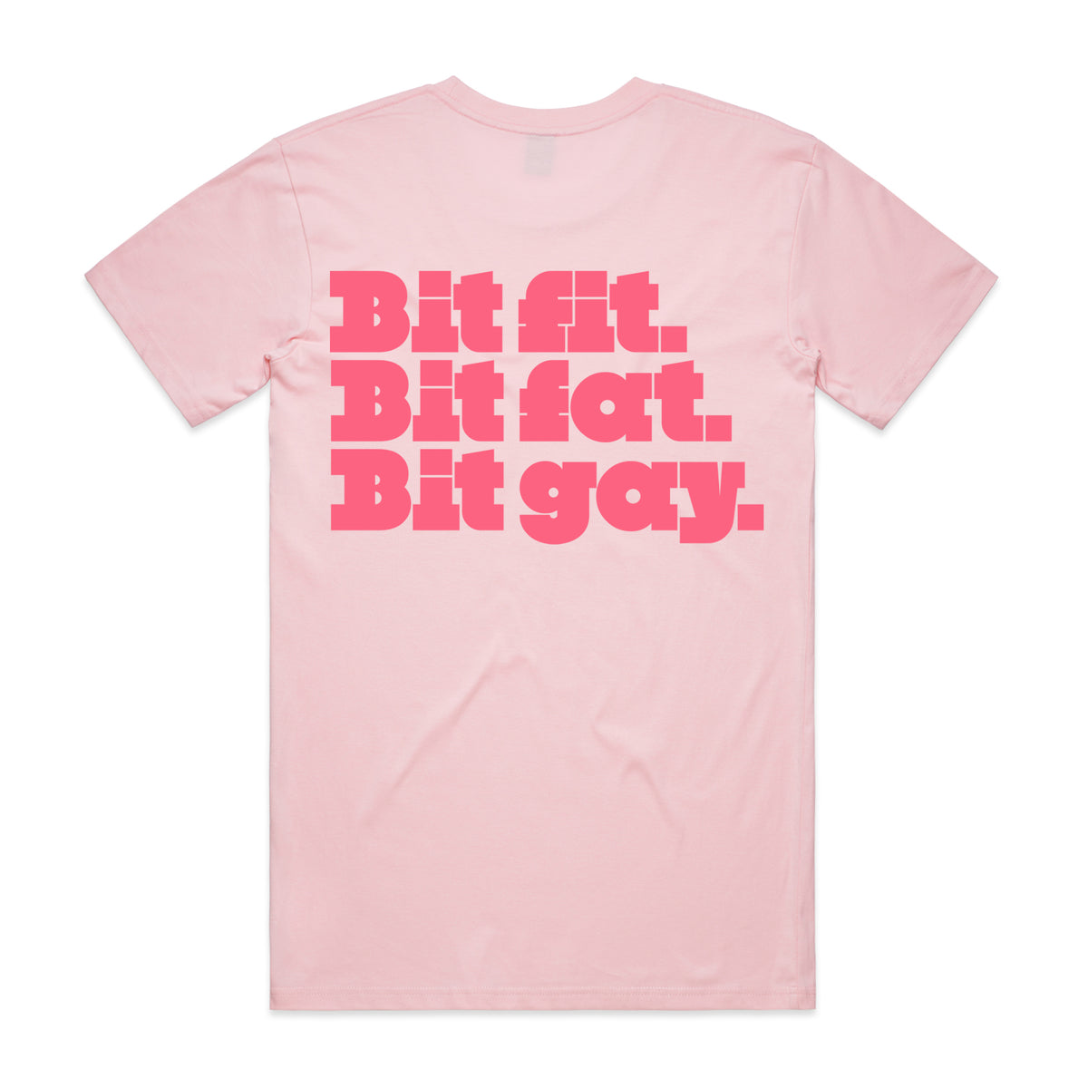 PREORDER: Bit Fit, Bit Fat, Bit Gay (11 Custom Colours)