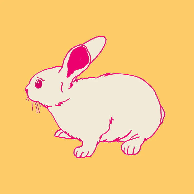 Be the Rabbit (3 Colours - Sunset Yellow/Moss Green/Coal)